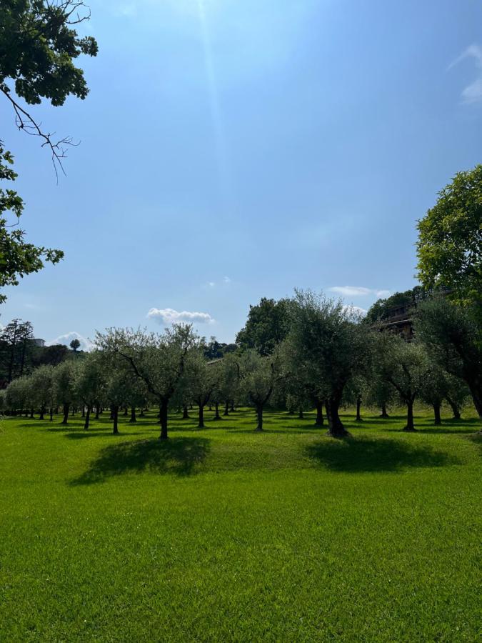 Homely Manerba Manerba del Garda Zewnętrze zdjęcie